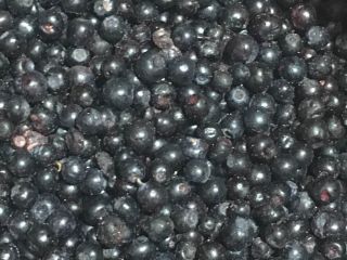 I will sell Polish frozen berries with a BIO-organic