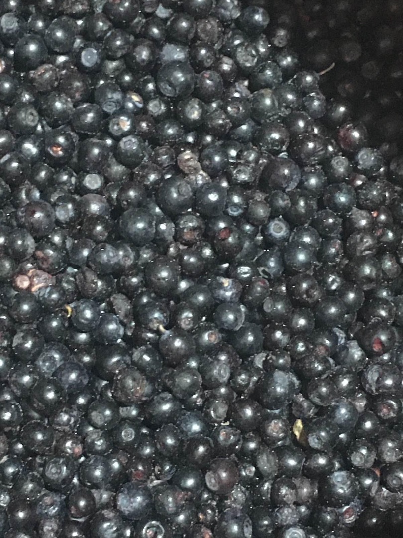 I will sell Polish frozen berries with a BIO-organic certificate, cleaned, class B