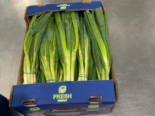 Fresh spring onions for sale. 0,48 € / bundle.