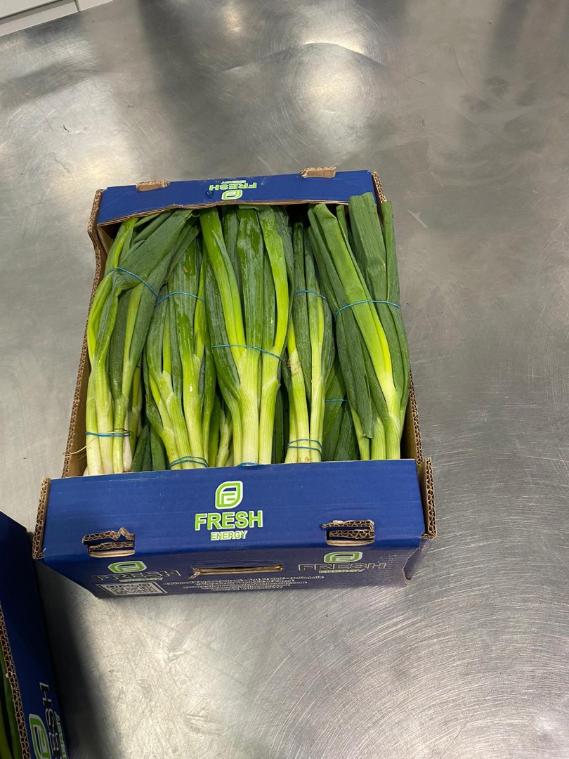 Fresh spring onions for sale
