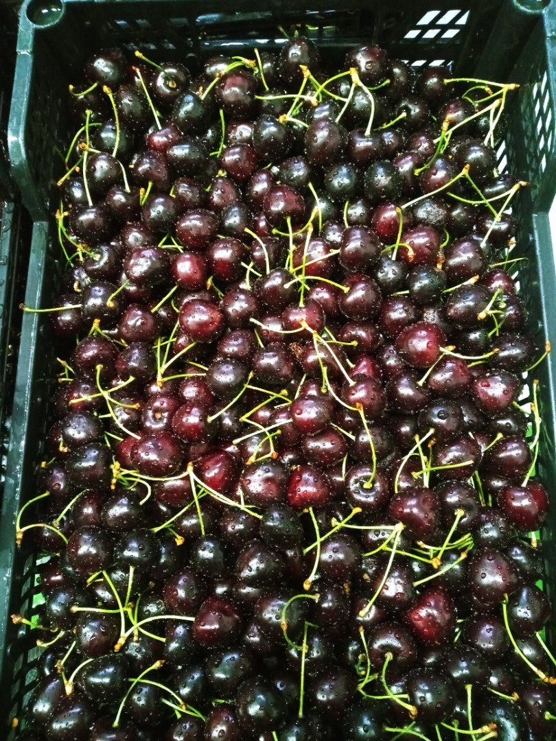 Cherries with stem