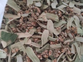 The linden blossom is a 2022-2023 crop, dried in
