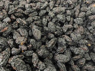 DRIED PLUMS FROM THEIR OWN ORCHARD, TASTY. OF THE