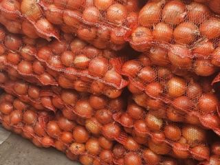 high quality onions in large quantities viber