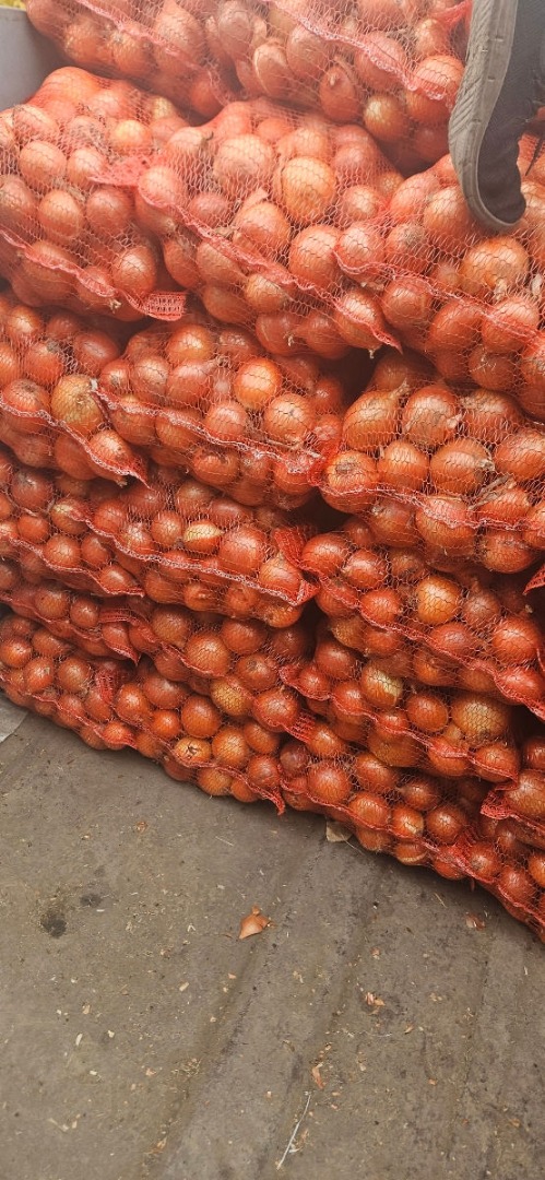 high quality onions in large quantities viber