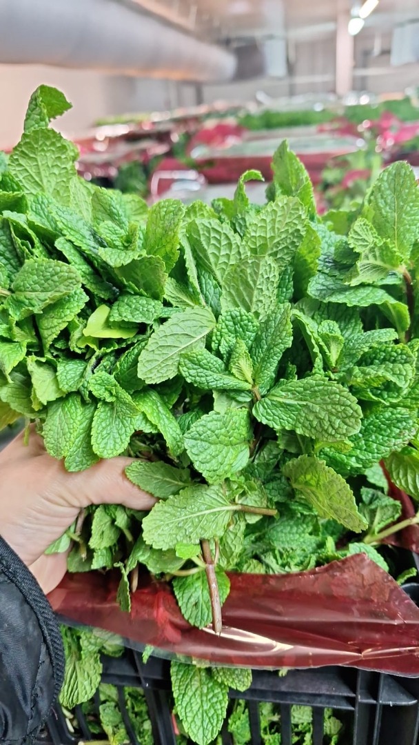 Dear Sir or Madam, We are a company of fresh aromatic plants