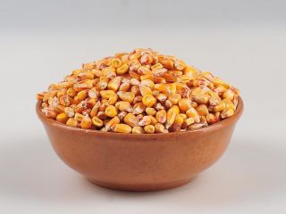 "AGROVEST GROUP" Sp. z o. o. offers for sale