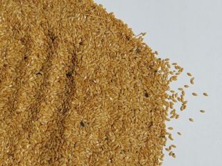 Golden flax. there are 100t.