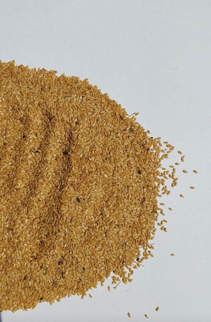 Golden flax