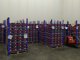 I will sell 24 pallets of tangerines, variety -