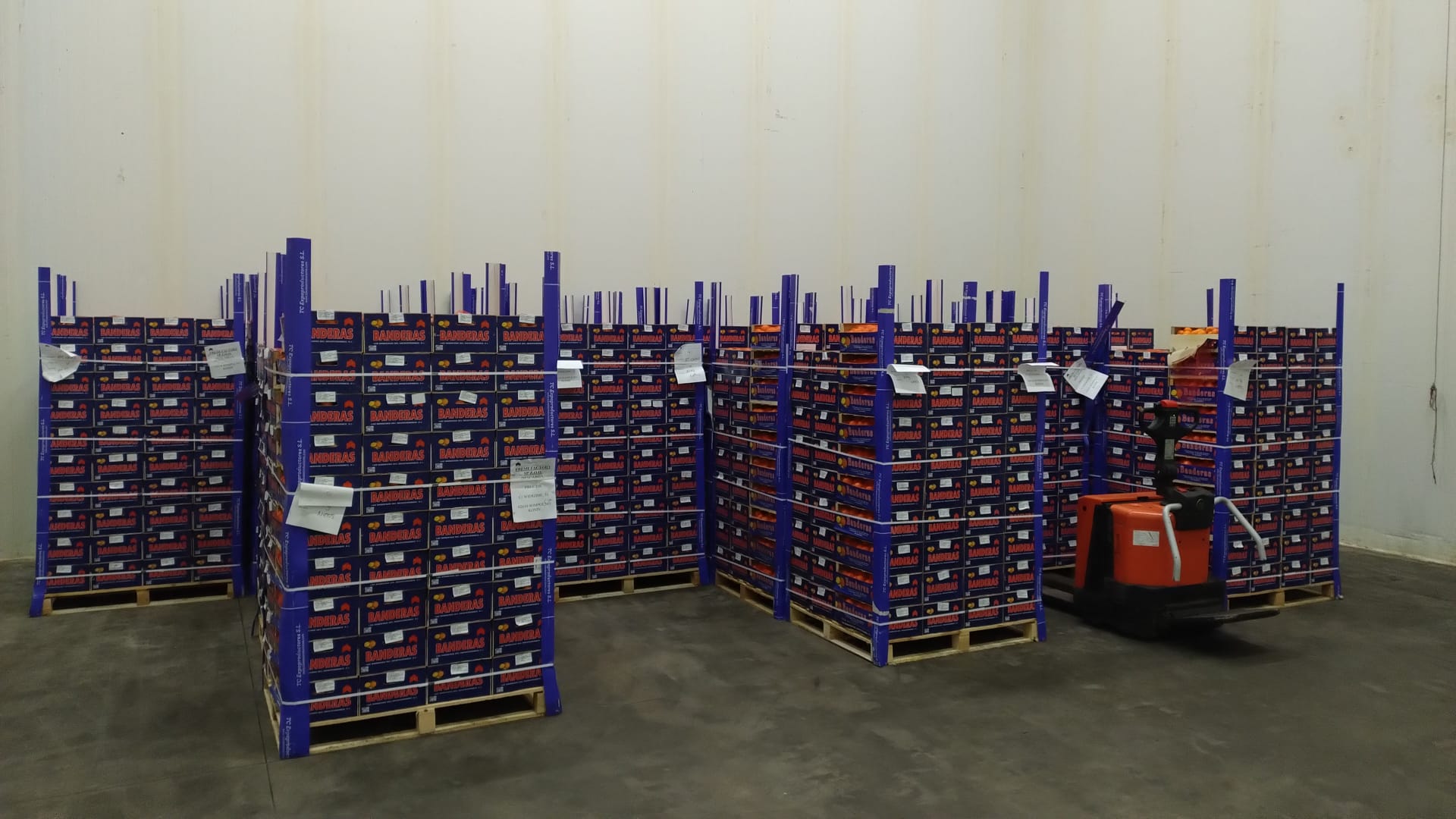 I will sell 24 pallets of tangerines, variety - Clemenules