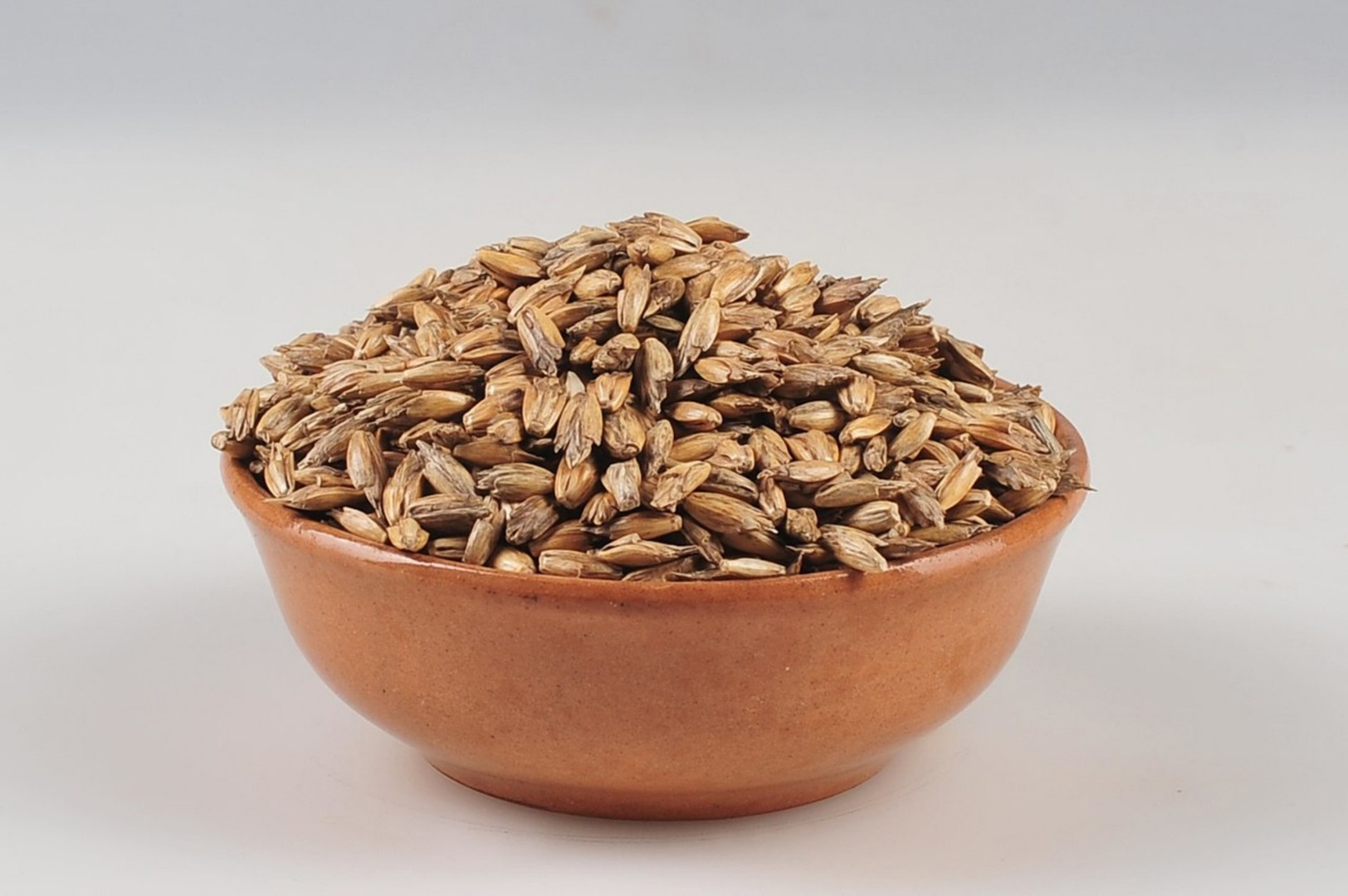 "AGROVEST GROUP" LLC sells organic products: sunflower, soybean, spelled, corn