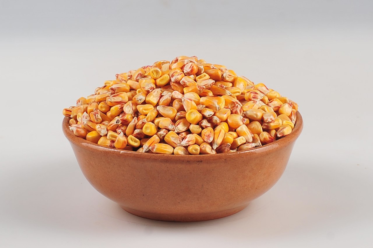 "AGROVEST GROUP" LLC sells organic products: sunflower, soybean, spelled, corn