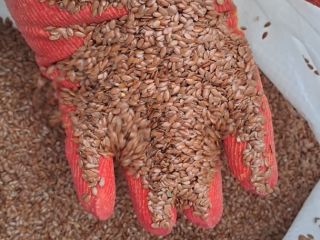 We ask our agricultural products: linseed and many other