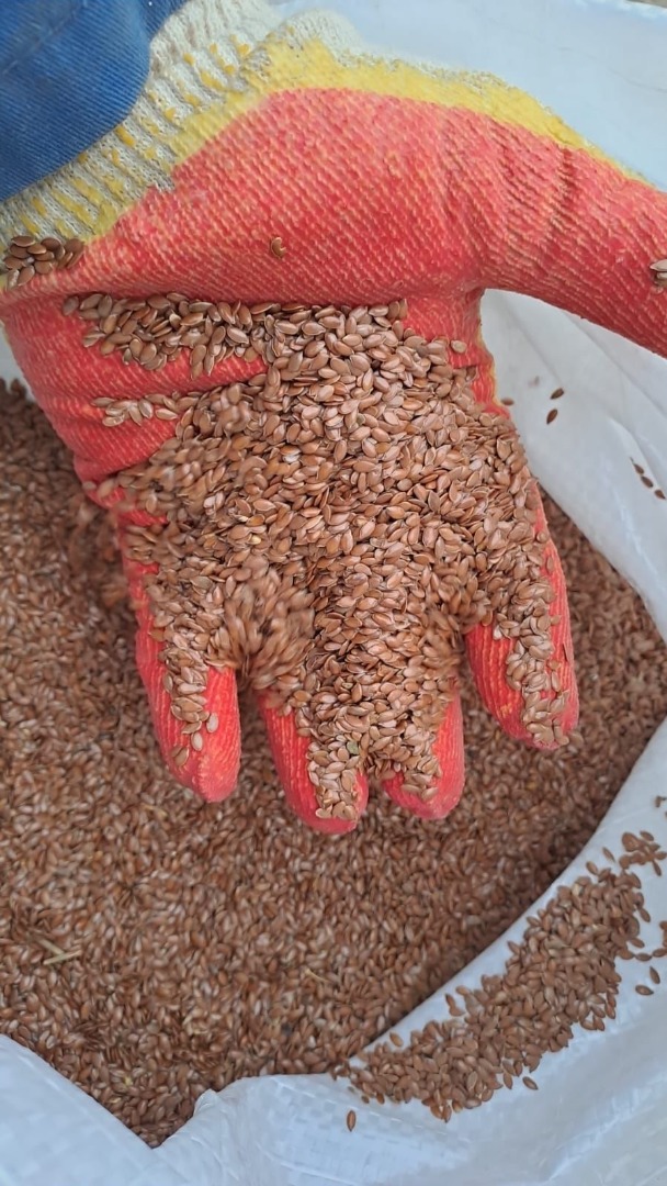 We ask our agricultural products: linseed and many other grain products