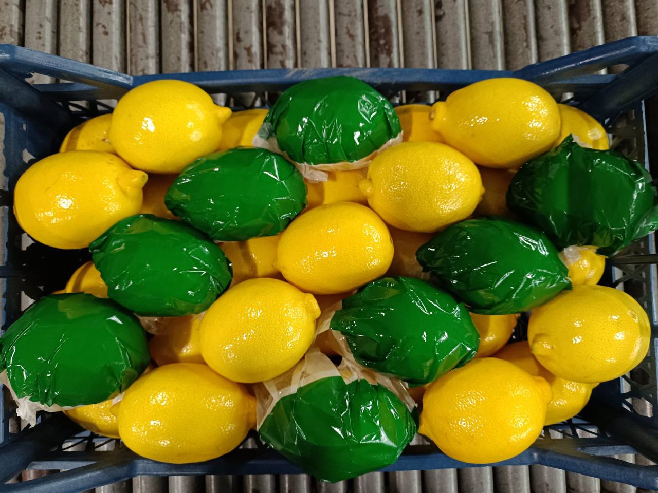 Fresh and high quality VEGETABLES AND FRUITS from Italy Export in cardboard boxes, ready-boxed and with the possibility of packaging as desired No stock