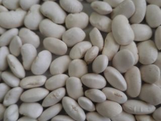 Hello, our company offers white beans, "Jaś Karłowy" (Jaś