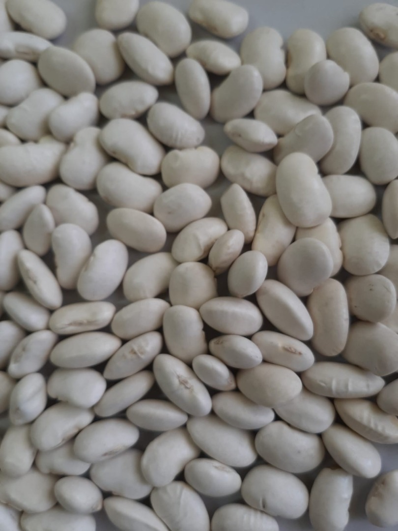 Hello, our company offers white beans, "Jaś Karłowy" (Jaś Karłowy), in truckload quantities, as well as smaller quantities