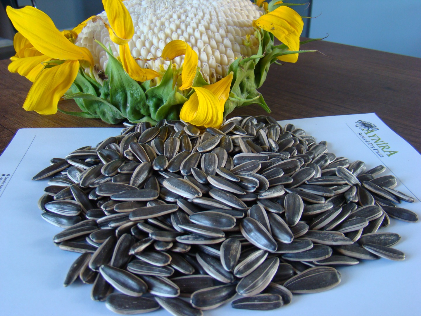 Our company Aynira Gıda San ve Tic LTD ŞTİ, we are a direct supplier of high-quality pure poppy seeds (blue and white poppy seeds) and sunflower seeds