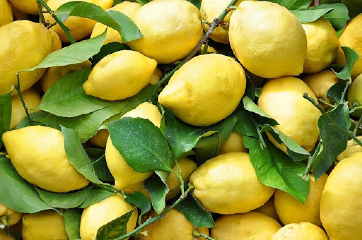 Fresh, high quality FRUIT AND VEGETABLES from Italy Lemon - Kiwi - red and yellow onions - potatoes - corn - Export in cardboard boxes, already packaged and