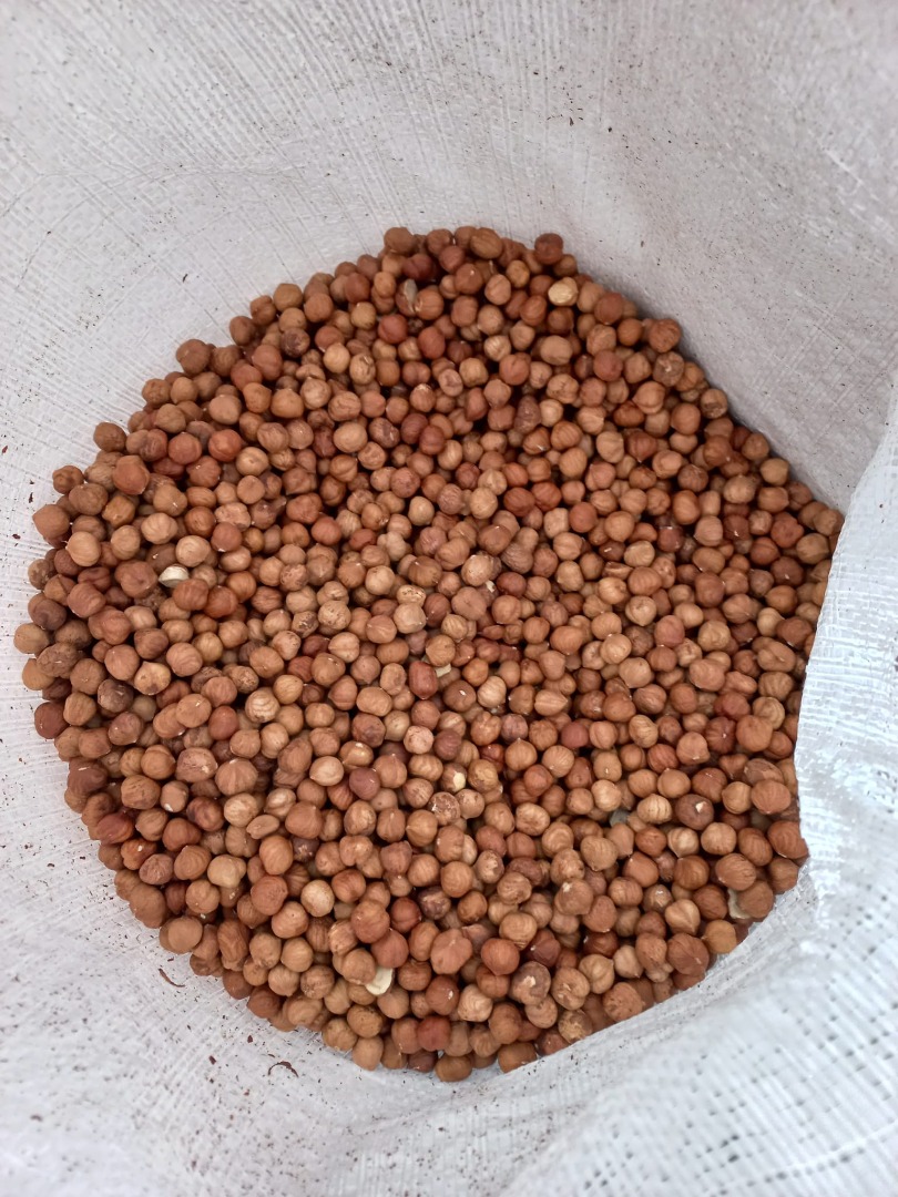 Hello, I am selling a hazelnut product, harvest 2023, caliber 11-13, 1 ton