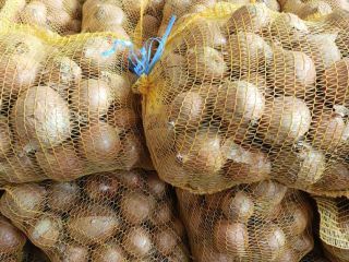 I sell yellow onions, size 4-9, packed in 15