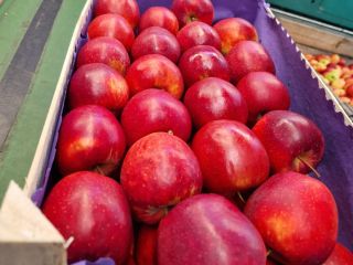 I will sell consumer apples from KA. + Fresh