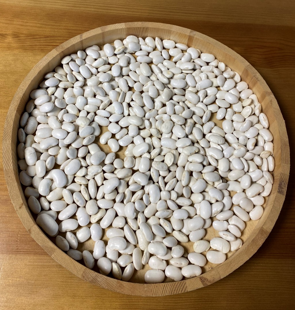Hello, I have for sale: Igołomska small white beans