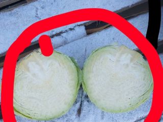 Cabbage !!!