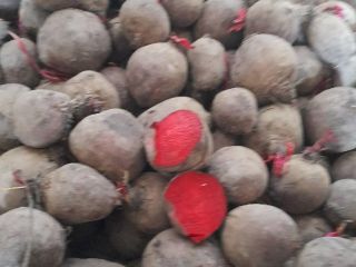 We offer beetroots for processing purposes. BIG Bags for