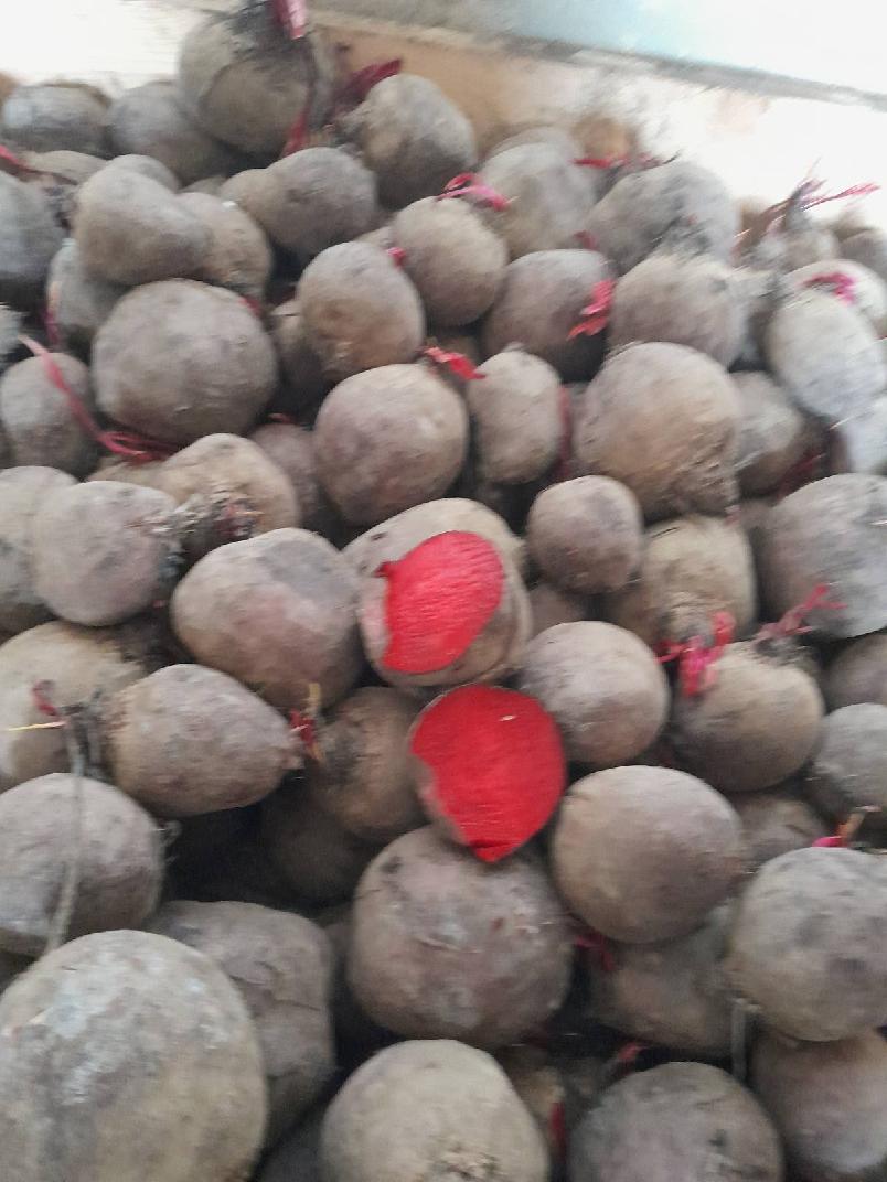We offer beetroots for processing purposes