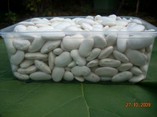 large white beans, 65-75 pieces/100g, ecologically produced, availability 1-15