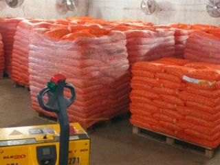 We are selling onion set different type dimentions .