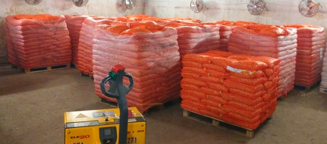 We are selling onion set different type dimentions