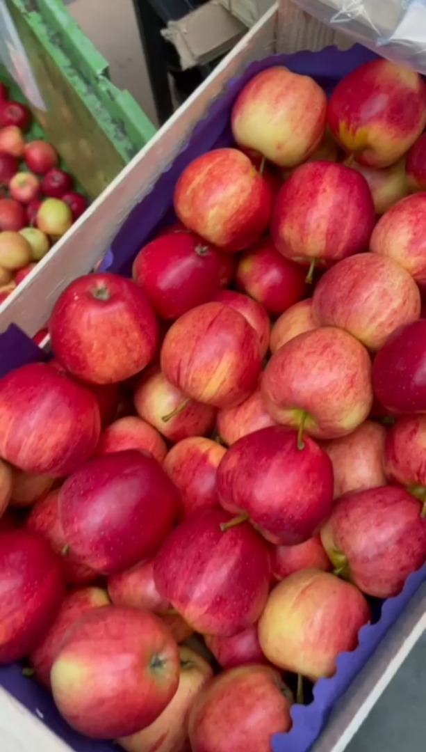 I will sell a striped Gala apple, any packaging, possibly in pre-sorted boxes, class 1B, truck quantities