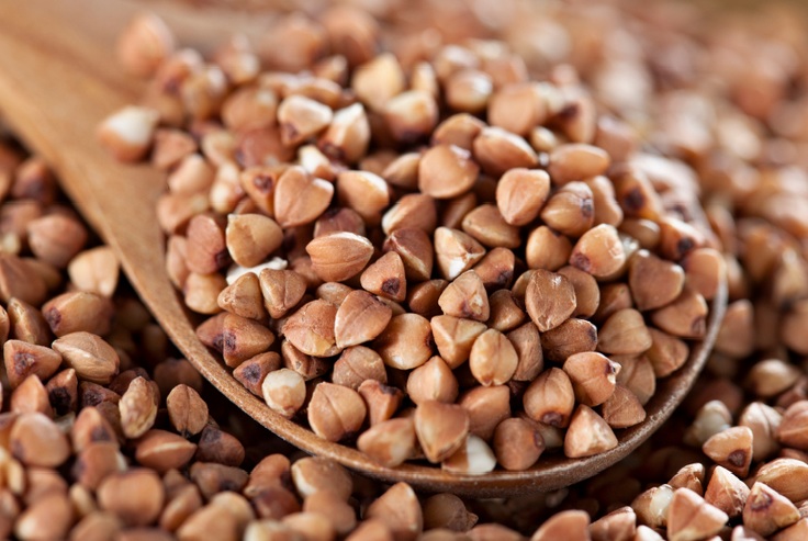Antey Sad company for supply: spring vetch, winter vetch, alfalfa, red clover, white mustard, yellow mustard, buckwheat, brown oil flax