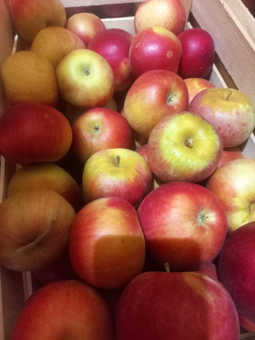 I am selling apples of the Ajdared variety, the goods are in the refrigerator and are made smart fresh..