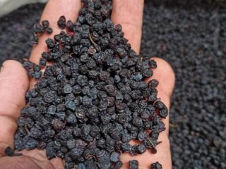 We offer dried wild blueberries, harvest July, August 2023