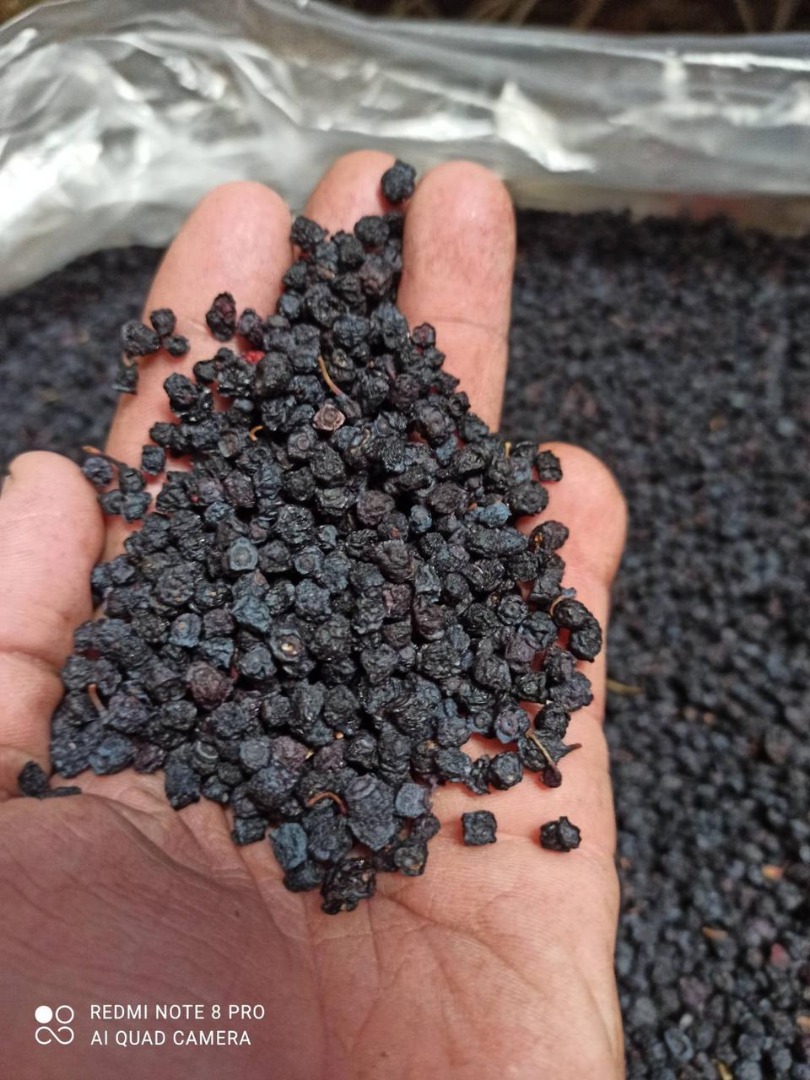 We offer dried wild blueberries, harvest July, August 2023 in the forests of Latvia, order from 100 kg