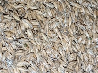 I am selling 125 tons of certified organic, unhulled