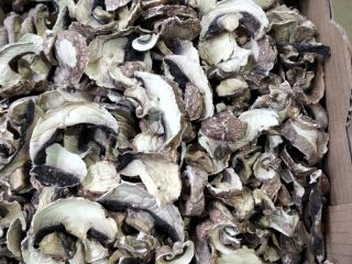 Dried mushrooms for sale.
