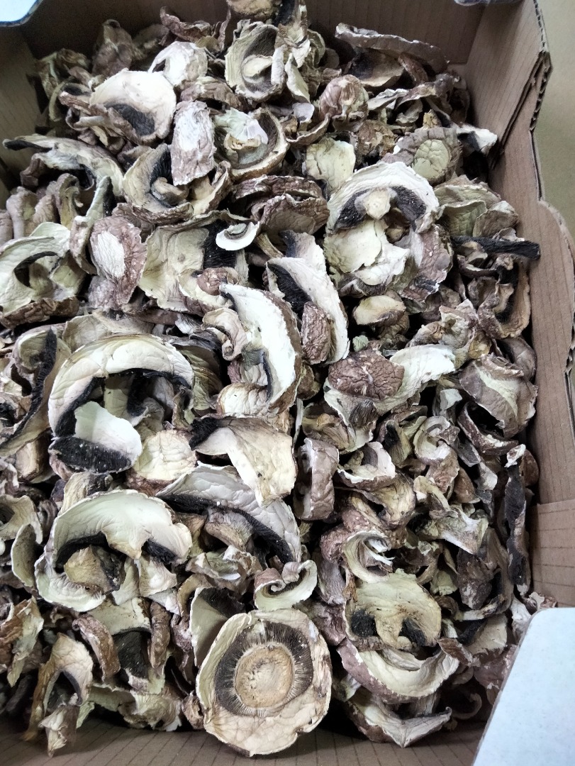 Dried mushrooms for sale