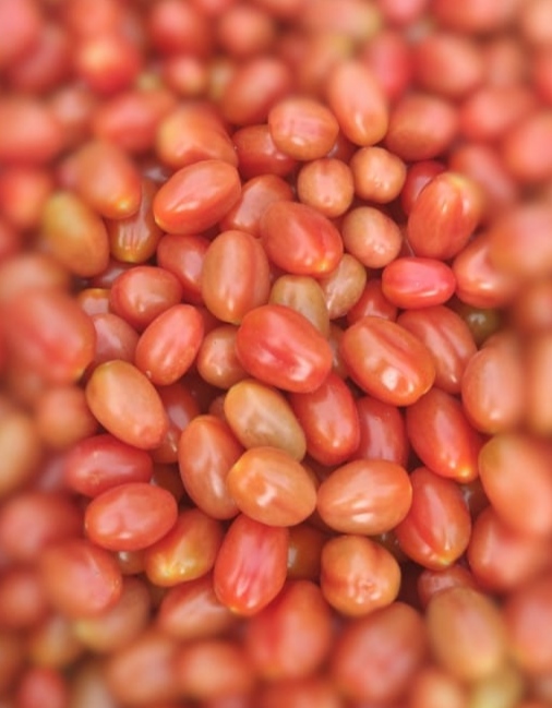 I sell pear cherry tomatoes from the southern area of Spain, well known for offering the best service to the world