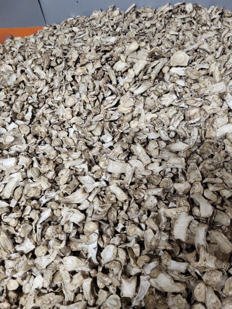 white plate of dried mushroom root
