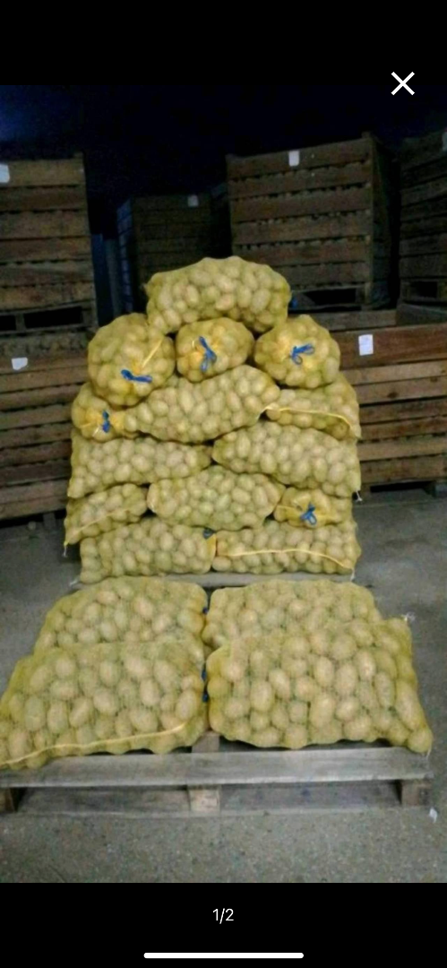 I offer potatoes of the valdivia variety (waxy) and the chiara variety (predominantly waxy)