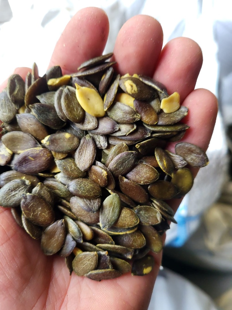 I am a farmer selling my own and my neighbor farmers' pumpkin seeds