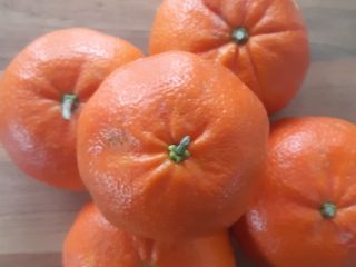 I will sell tangerines from Adana/Türkiye in large quantities.