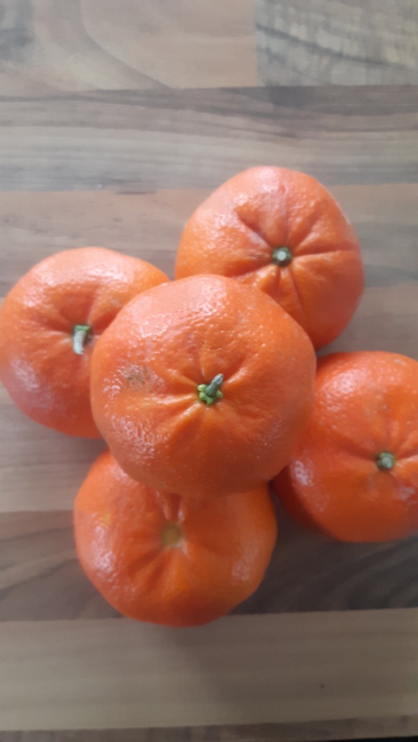 I will sell tangerines from Adana/Türkiye in large quantities