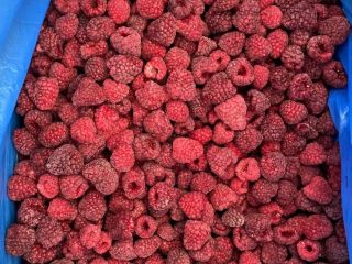 The finest in IQF raspberries with our high-quality 90/10