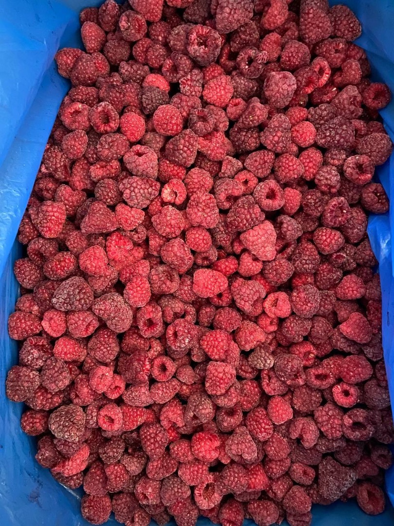 The finest in IQF raspberries with our high-quality 90/10 blend